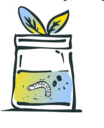 Worm Tunnel Lab